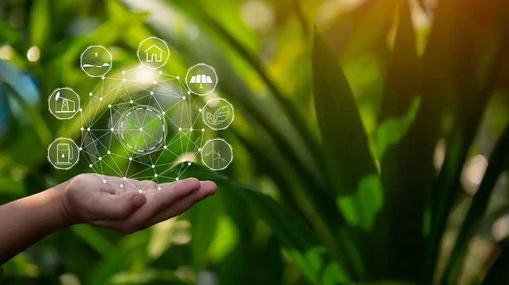 Energie verde: Cum o poți folosi și ce beneficii are pentru afacerea ta?