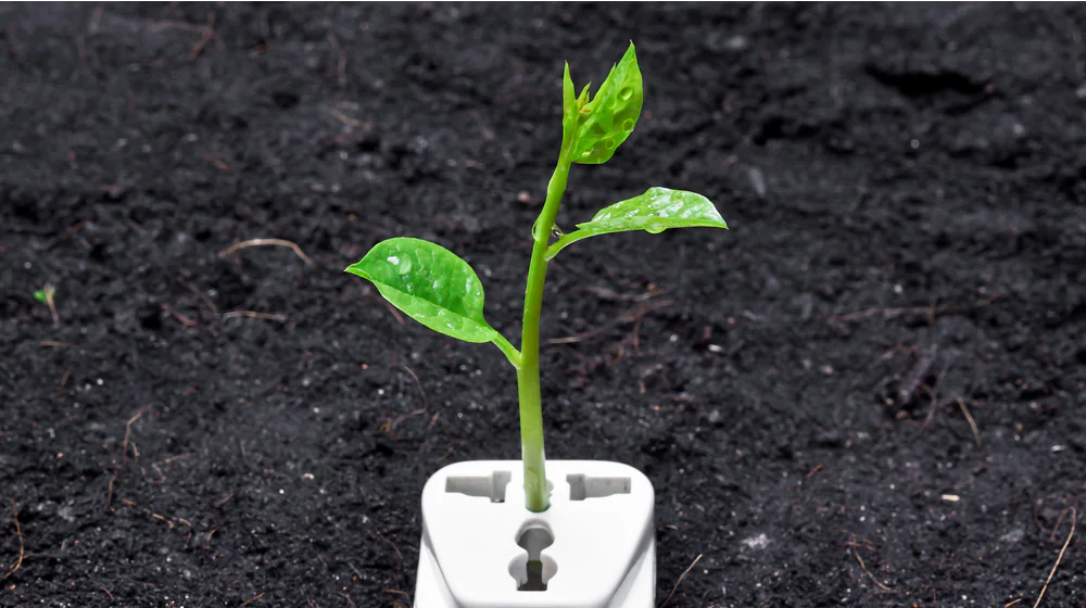 Reducerea consumului de energie electrică: Sfaturi pentru afaceri