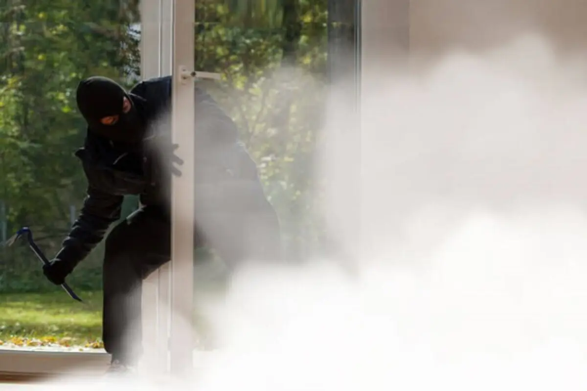 Securitatea afacerii tale: Alarmă, supraveghere video sau generator de ceață?