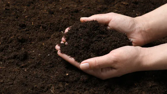 Compostul: Ce este, cum se face și care sunt beneficiile folosirii unui composter?