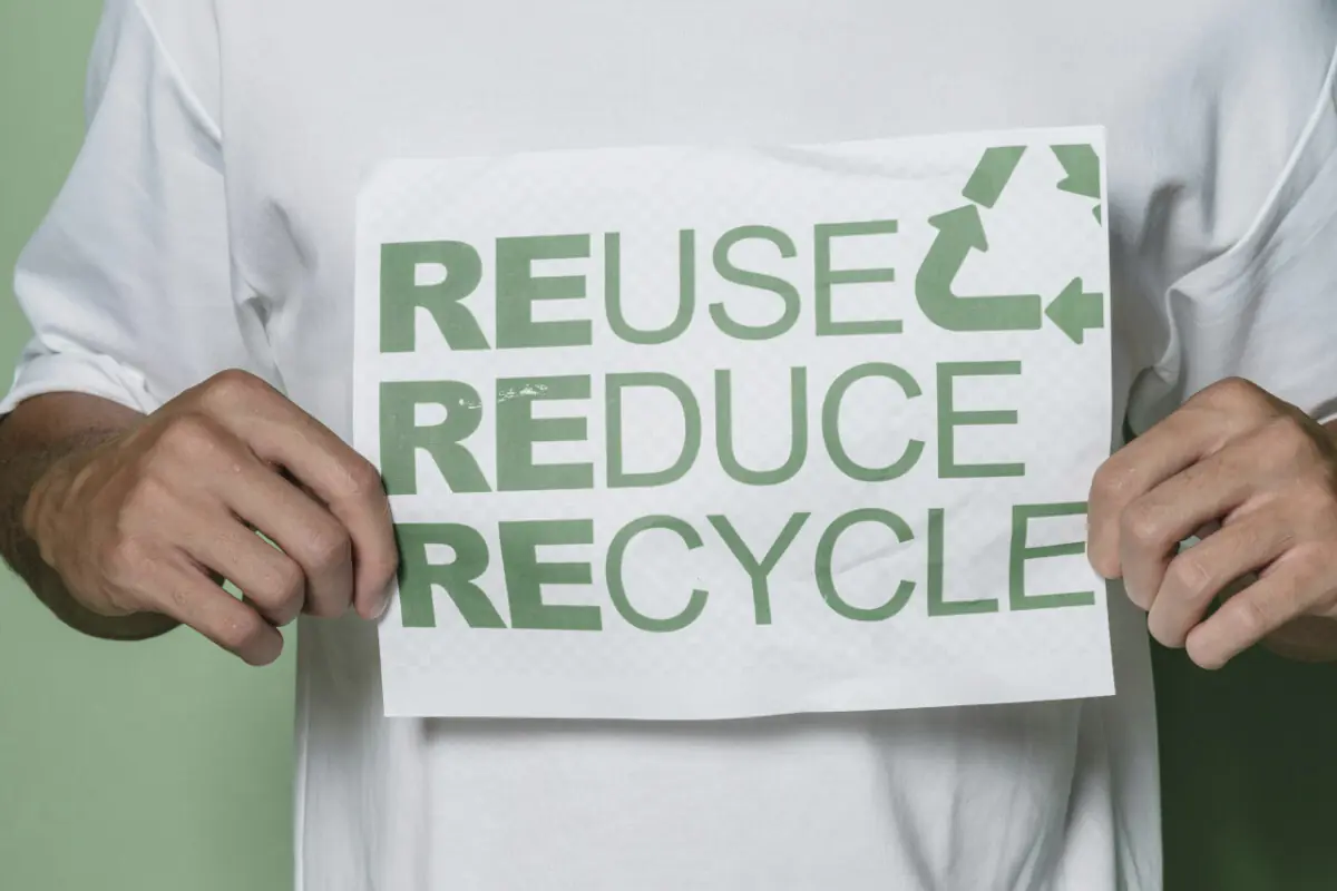 Soluții tehnologice pentru sustenabilitate: cum pot companiile contribui activ la protejarea mediului