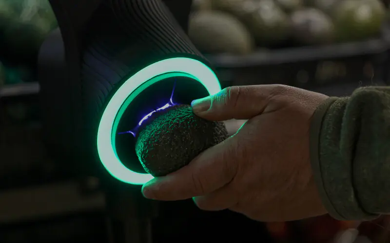 Kaufland testează AvoScanner: mai puțină risipă, mai multă încredere la raft